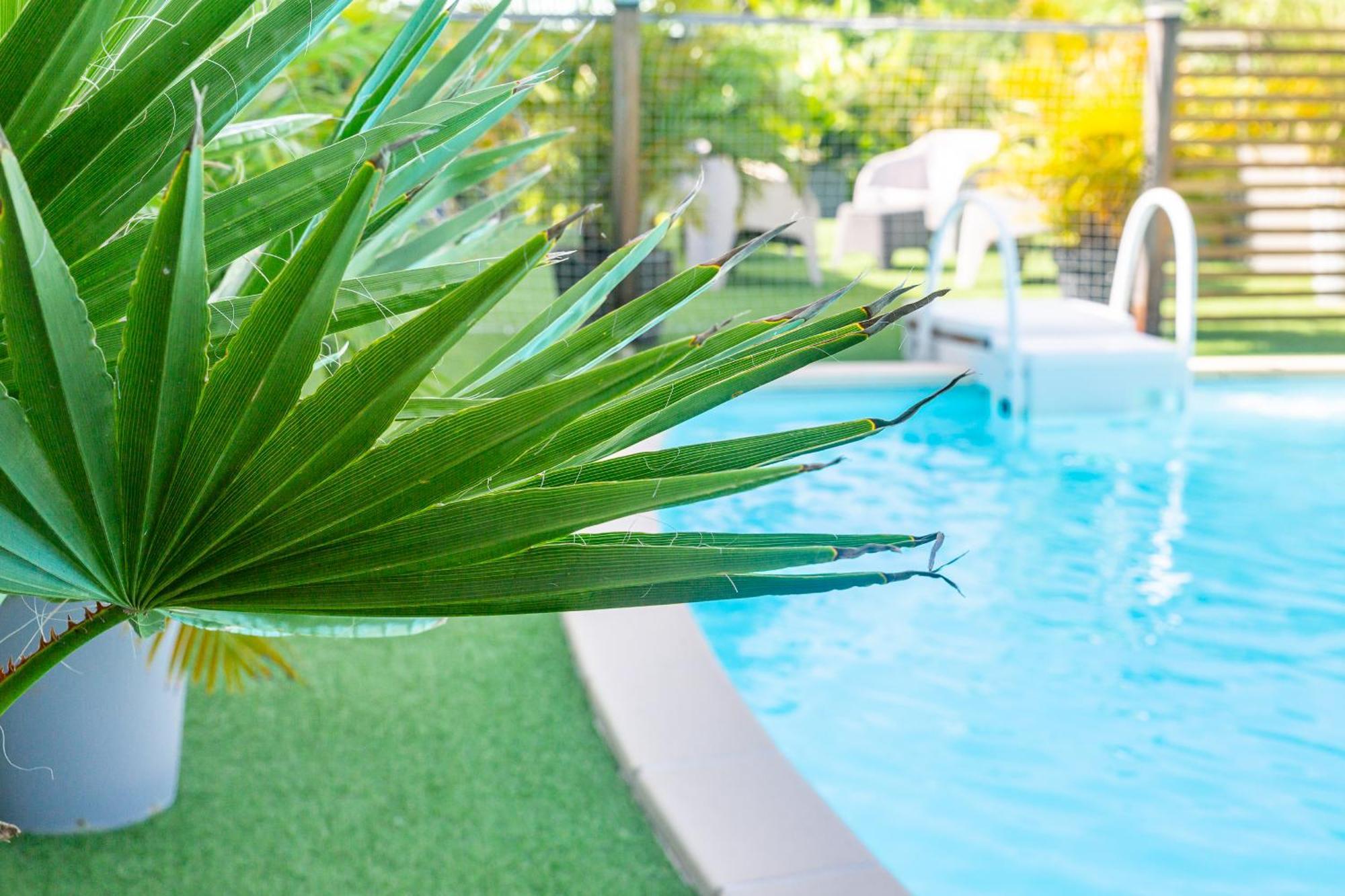 Zandoli Exotic Residence Sainte-Anne  Buitenkant foto